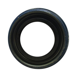 logo-fcpagos