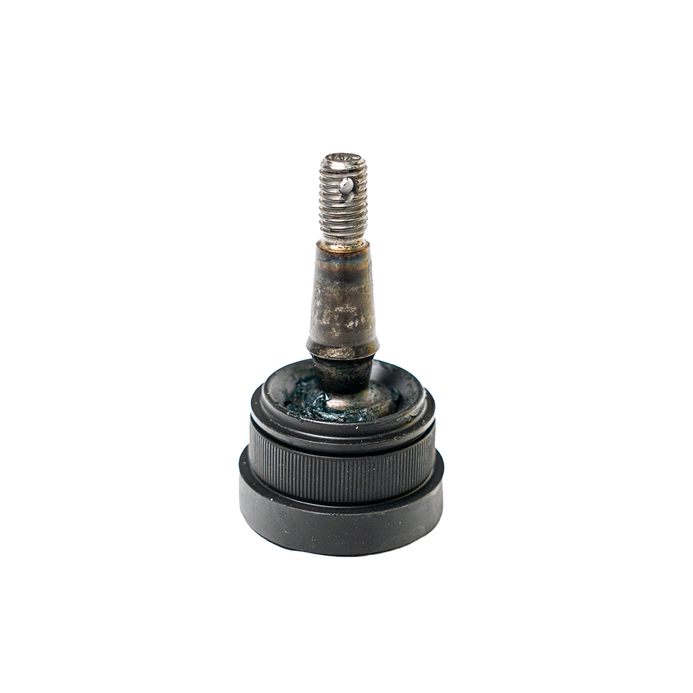 logo-fcpagos