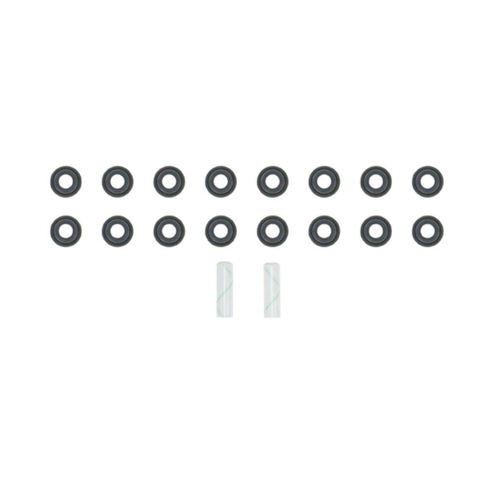 logo-fcpagos